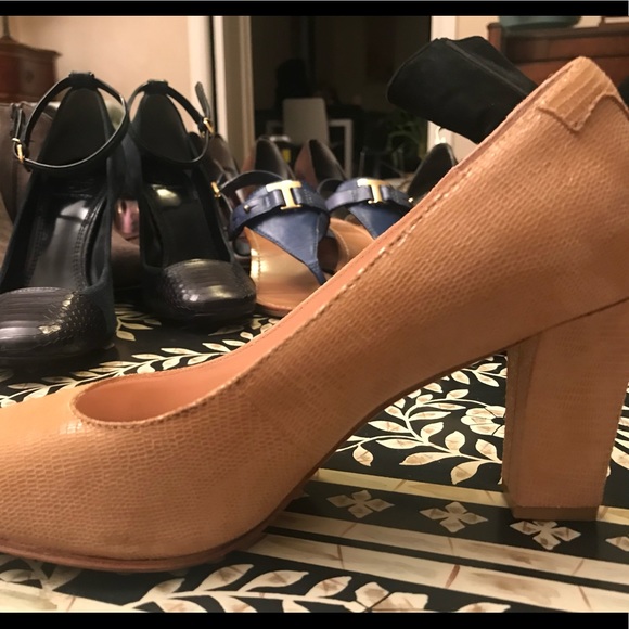 TARYN ROSE - Picture 6 of 8